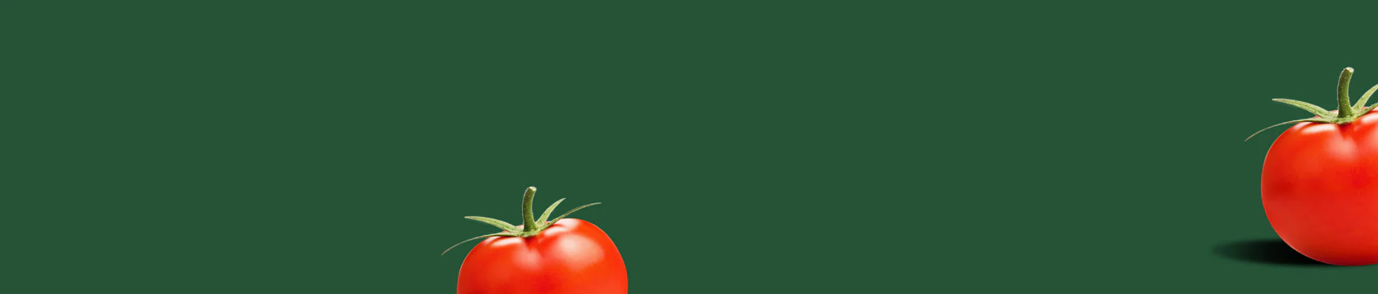 Grow Your Own Fresh Harvest